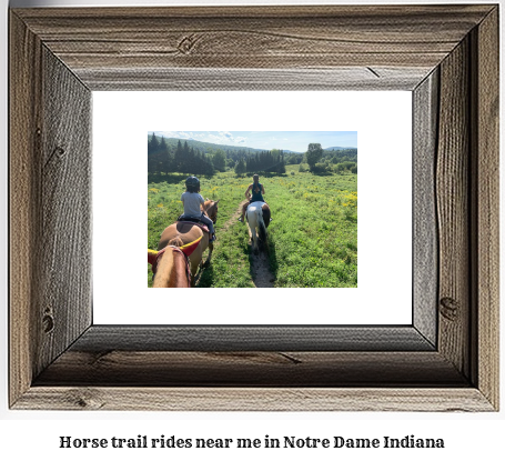 horse trail rides near me in Notre Dame, Indiana